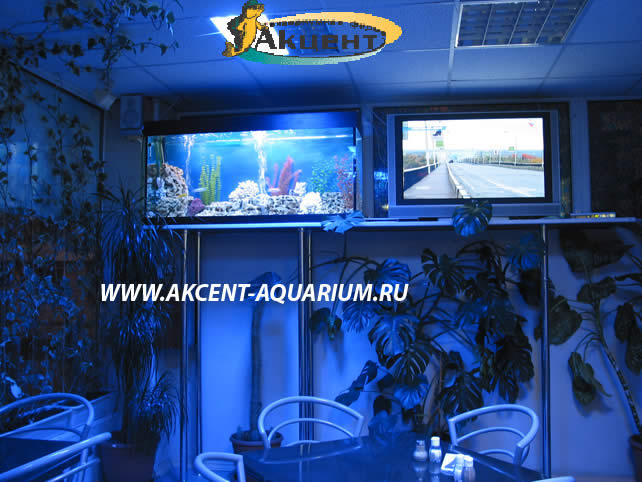 Акцент-аквариум, аквариум 200 литров кафе.